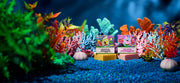 SpongeBob 4-Pack U9