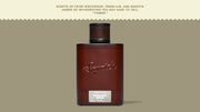 Midnight Birch Cologne U4