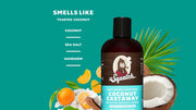 Coconut Castaway Conditioner H2
