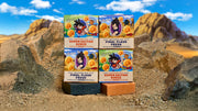 Dragon Ball Z 4-Pack E0