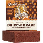 Bricc of the Brave F5