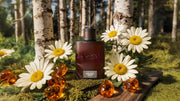 Midnight Birch Cologne U4