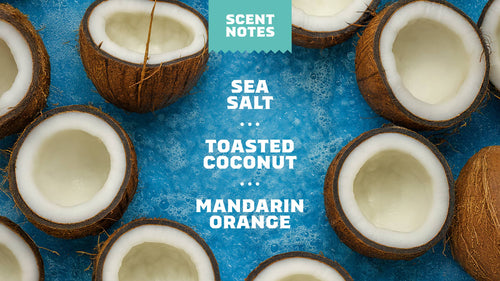 Scent notes graphic used on Dr. Squatch product pages