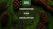 Pine Tar Lotion P9