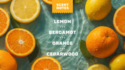 Summer Citrus Hand Soap N9