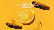 Summer Citrus Hand Soap N9