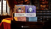 Destiny Duel 2-Pack H4